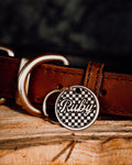 The Zoomies Pet Tag