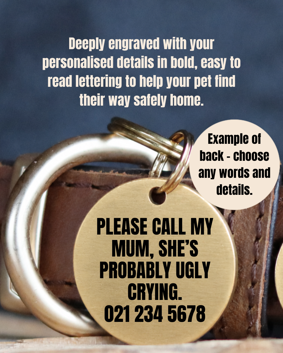 The Companion Pet Tag